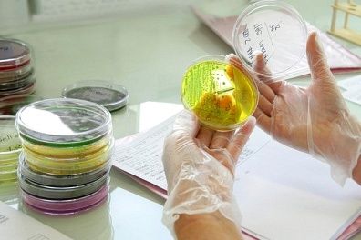 நுண்ணுயிரியல்